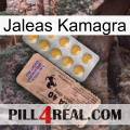 Kamagra Jellies 41